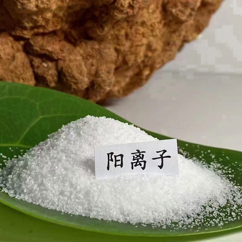 聚丙烯酰胺陽(yáng)離子